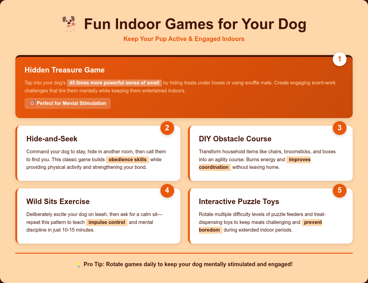 Infographic: Fun Indoor Games to Play With Your Dog