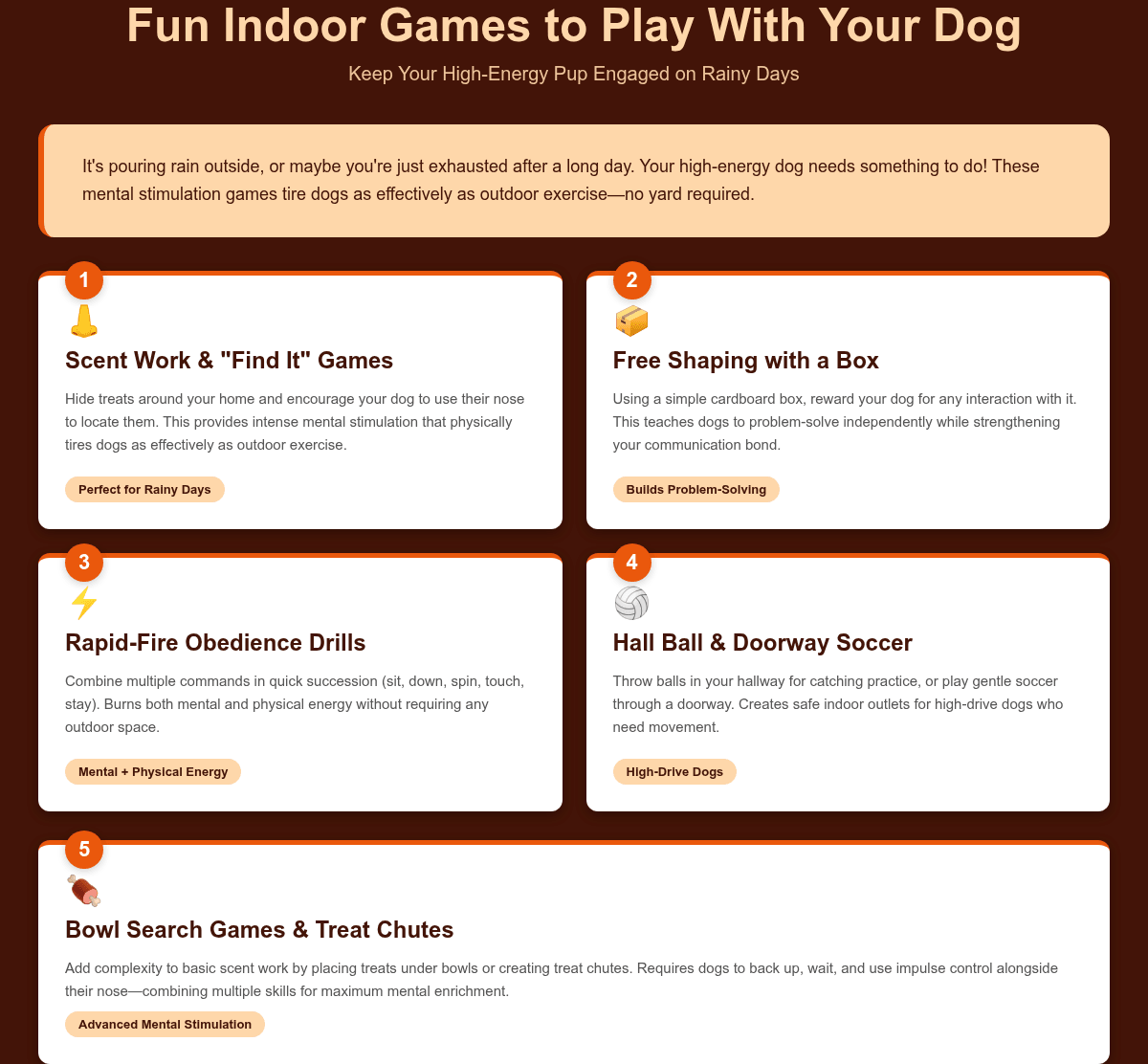 Infographic: Fun Indoor Games to Play With Your Dog