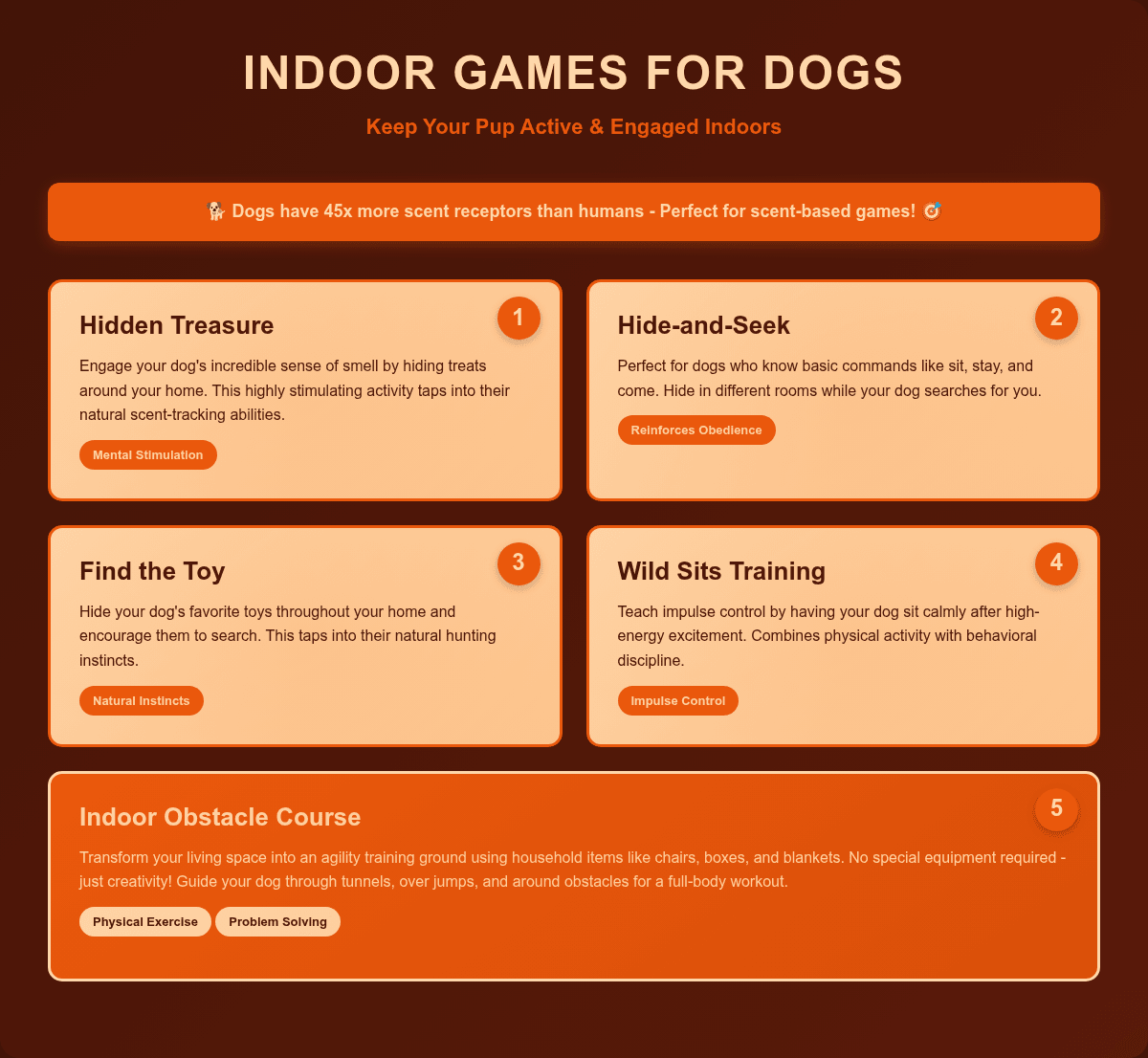 Infographic: Fun Indoor Games to Play With Your Dog