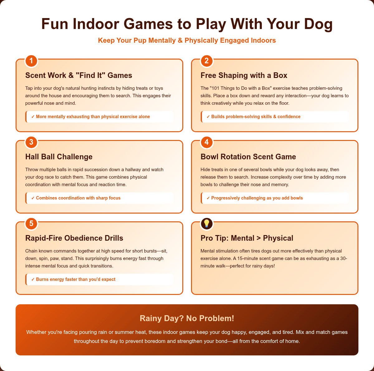 Infographic: Fun Indoor Games to Play With Your Dog