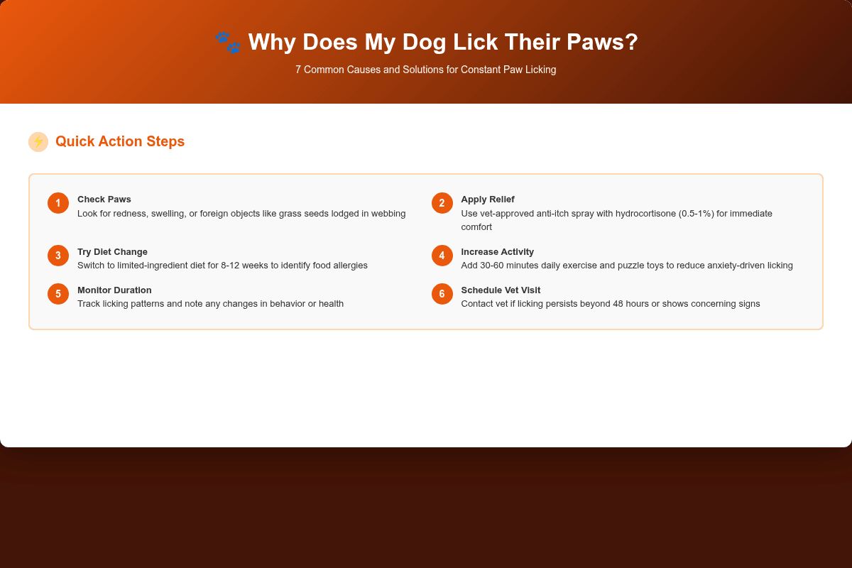 Infographic: Why Does My Dog Lick Their Paws Constantly? 7 Common Causes and Solutions