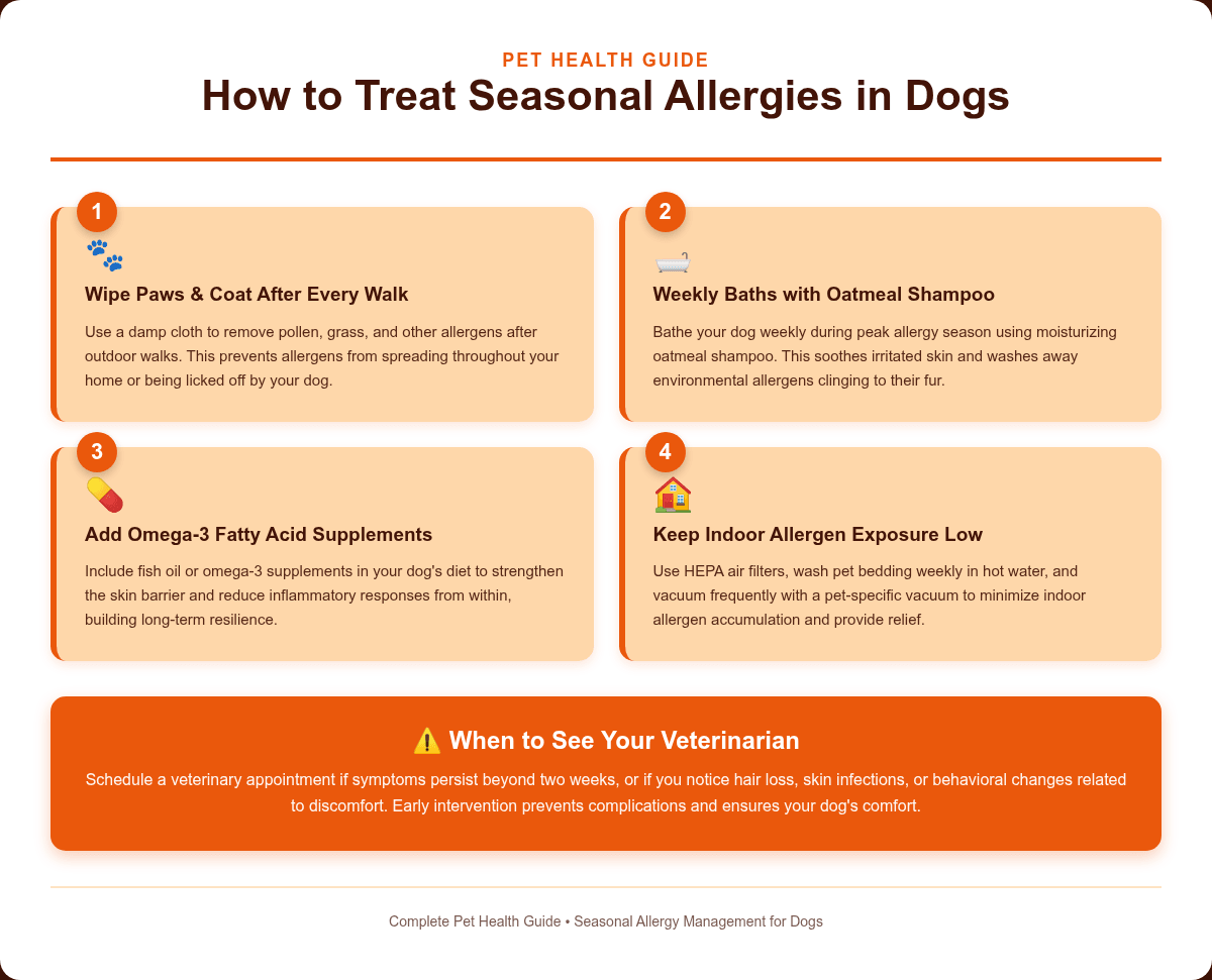 Infographic: How to Treat Seasonal Allergies in Dogs: Complete Guide