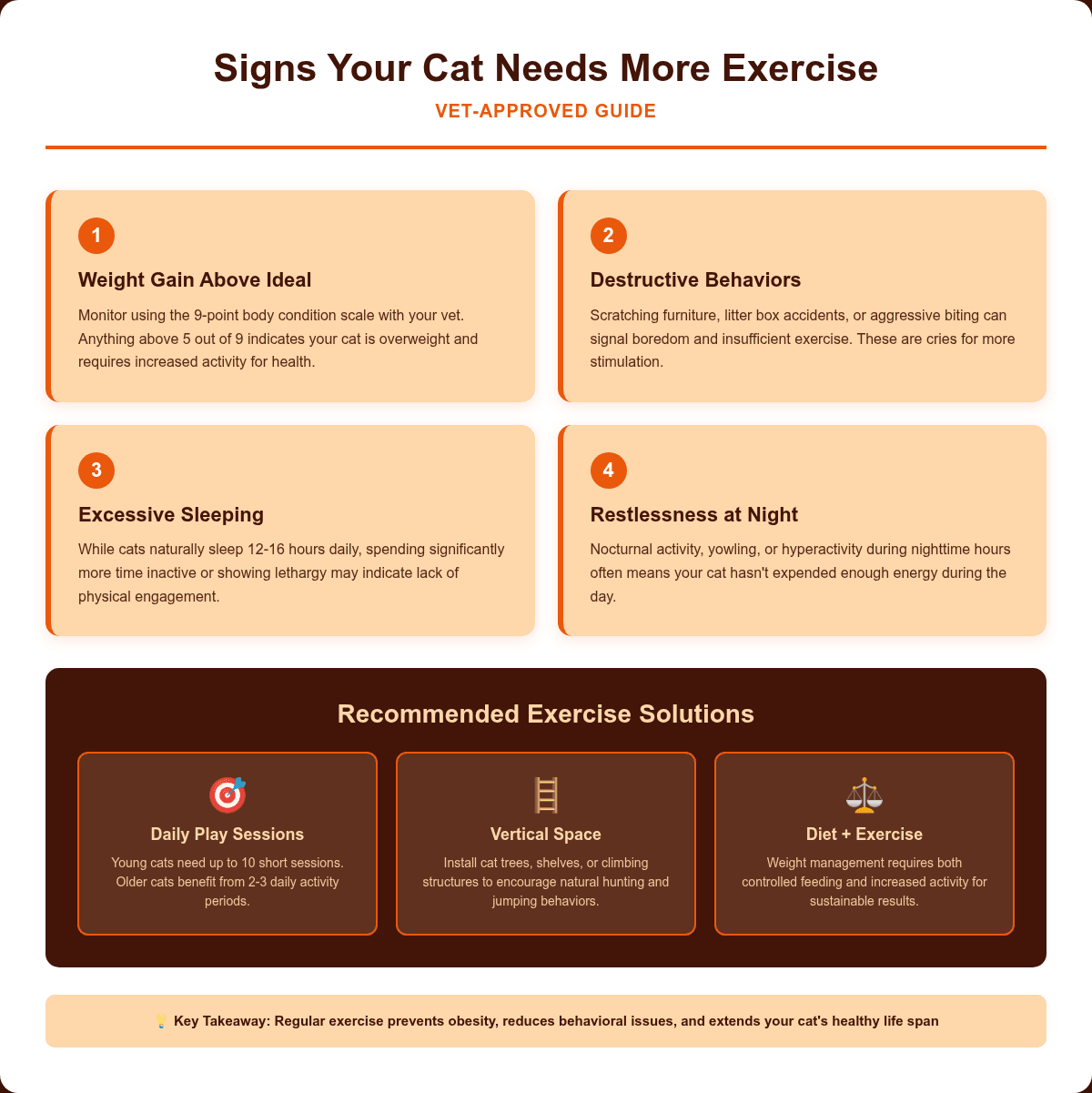 Infographic: Signs Your Cat Needs More Exercise: Vet-Approved Guide